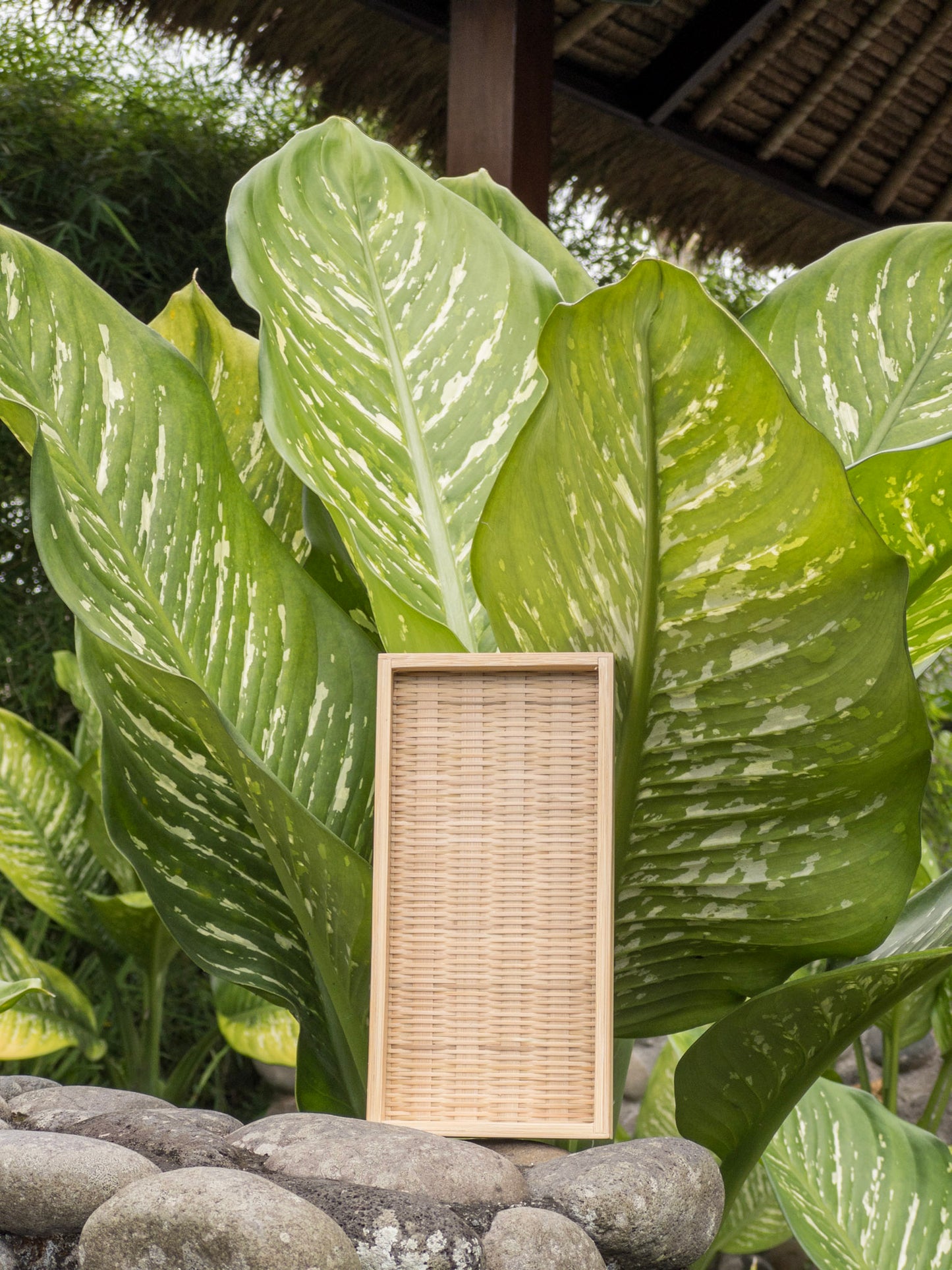 RIKA SERVING TRAY | SMALL RECTANGULAR DECORATIVE TRAY