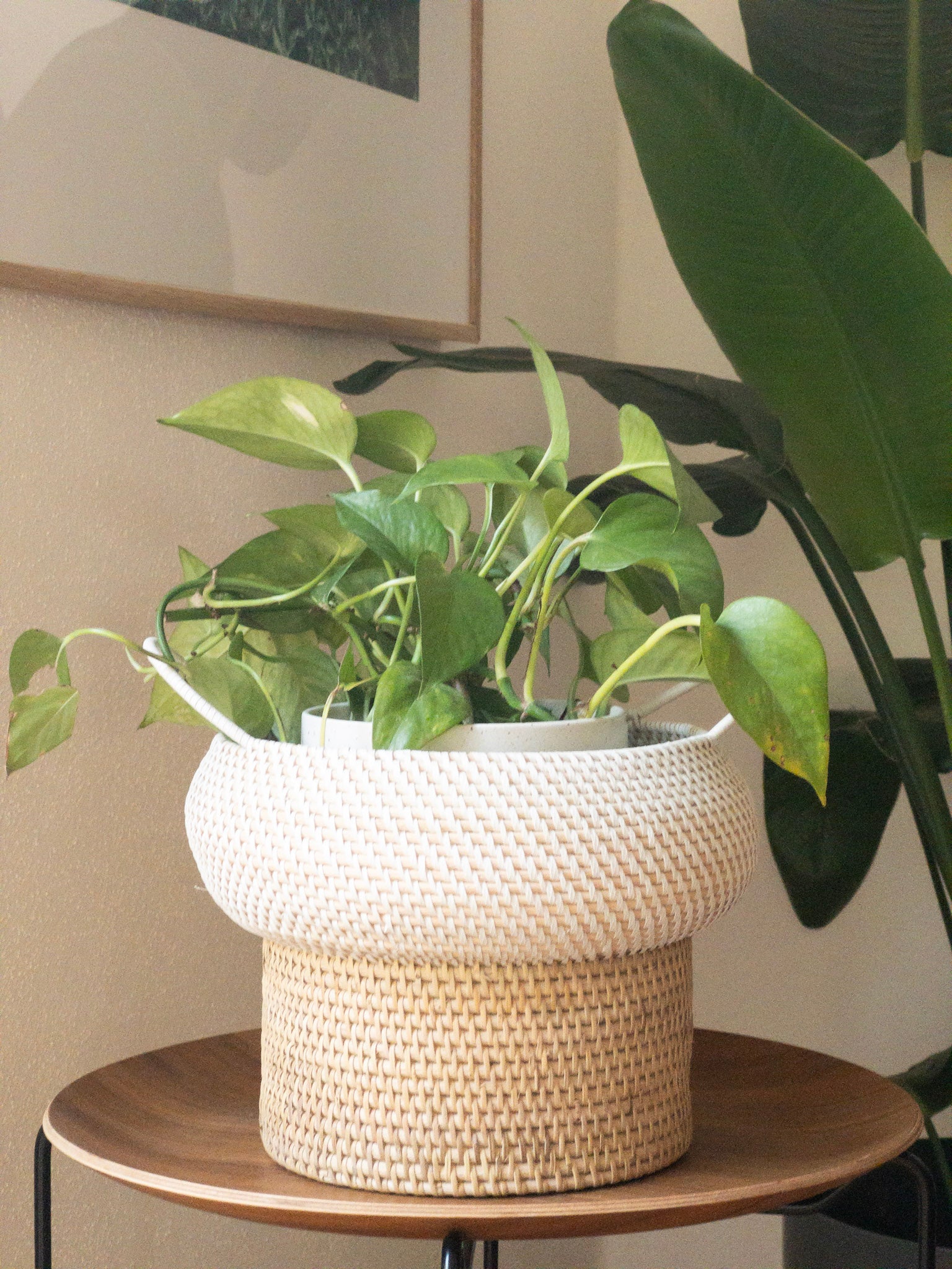 MALA BASKET | SMALL STORAGE BASKET