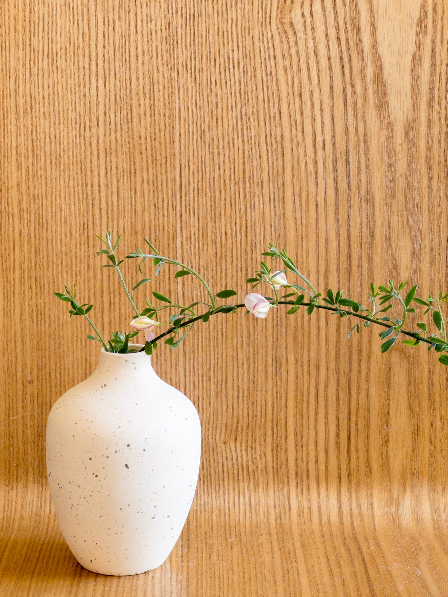 CANTI VASE | SMALL BOTTLE CERAMIC VASE